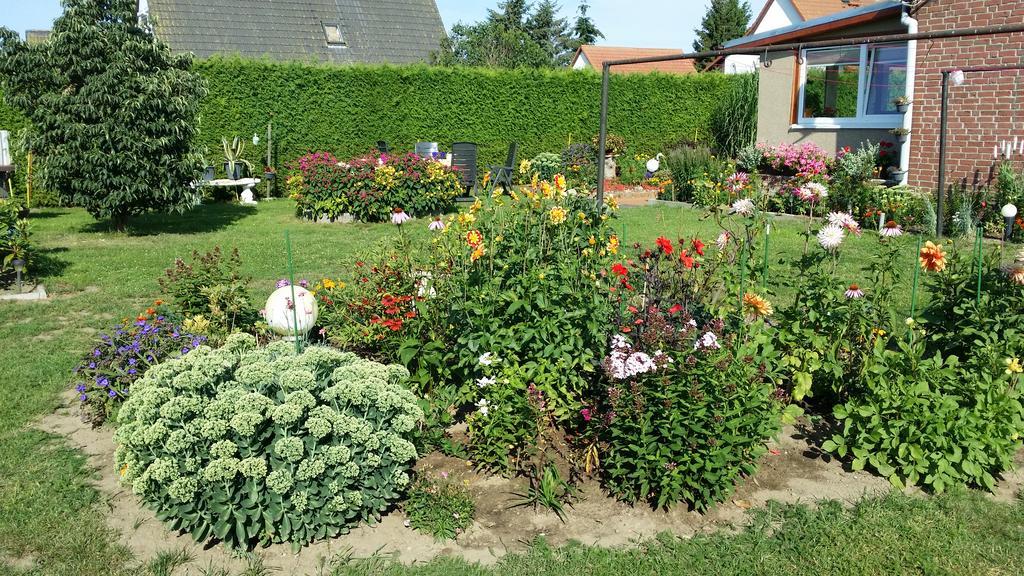 Ferienhaus Storchenweg Mahlzow Екстер'єр фото